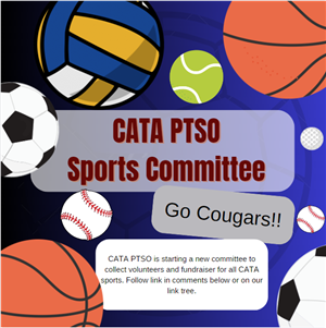 Sports Committee image